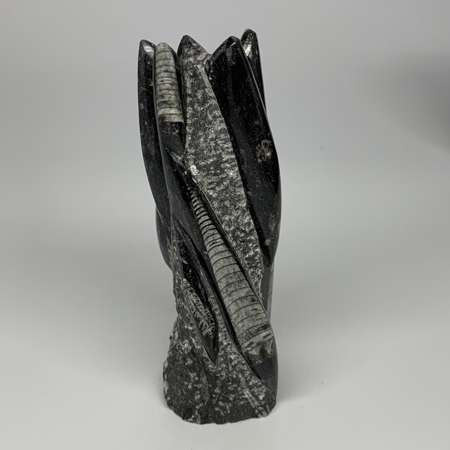 1435g, 8.5"x2.9"x2.3" Black Fossils Orthoceras Sculpture Tower @Morocco, B23417