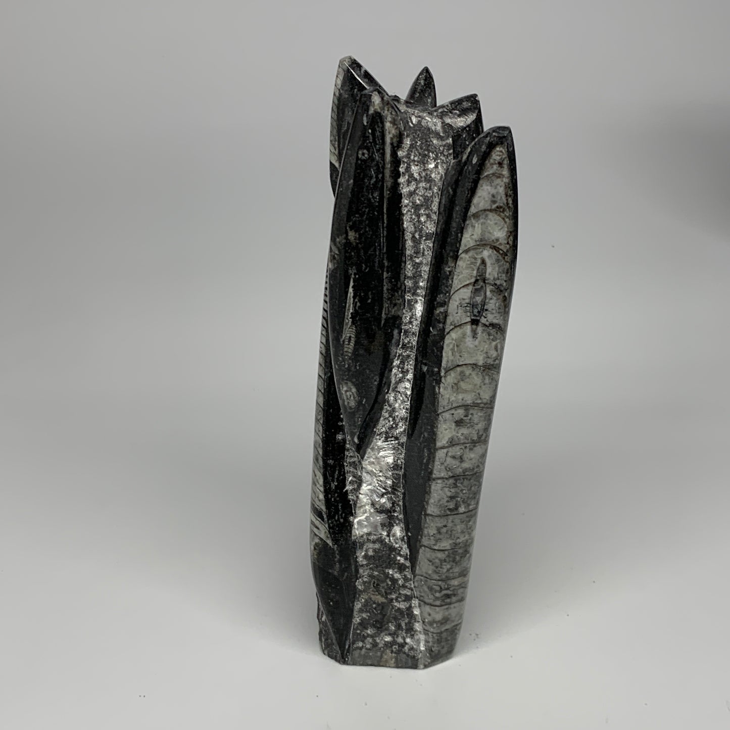 1435g, 8.5"x2.9"x2.3" Black Fossils Orthoceras Sculpture Tower @Morocco, B23417