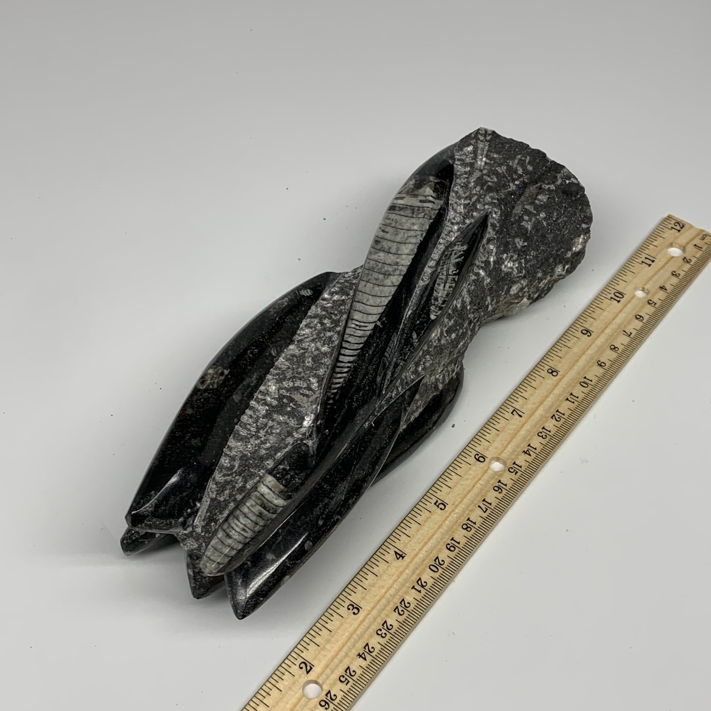 1435g, 8.5"x2.9"x2.3" Black Fossils Orthoceras Sculpture Tower @Morocco, B23417