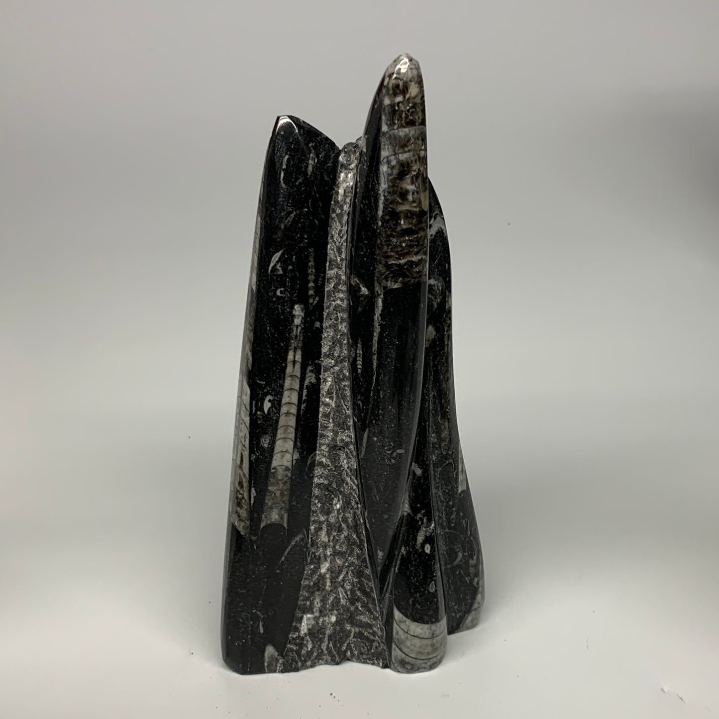 1285g, 8.25"x3.9"x2.7" Black Fossils Orthoceras Sculpture Tower @Morocco, B23418