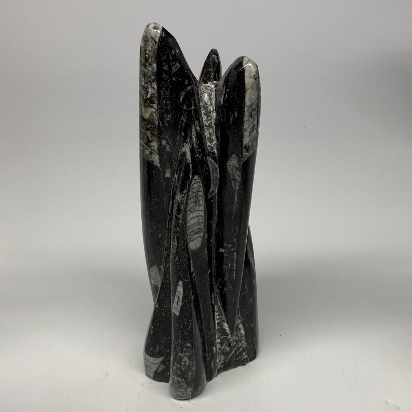 1285g, 8.25"x3.9"x2.7" Black Fossils Orthoceras Sculpture Tower @Morocco, B23418