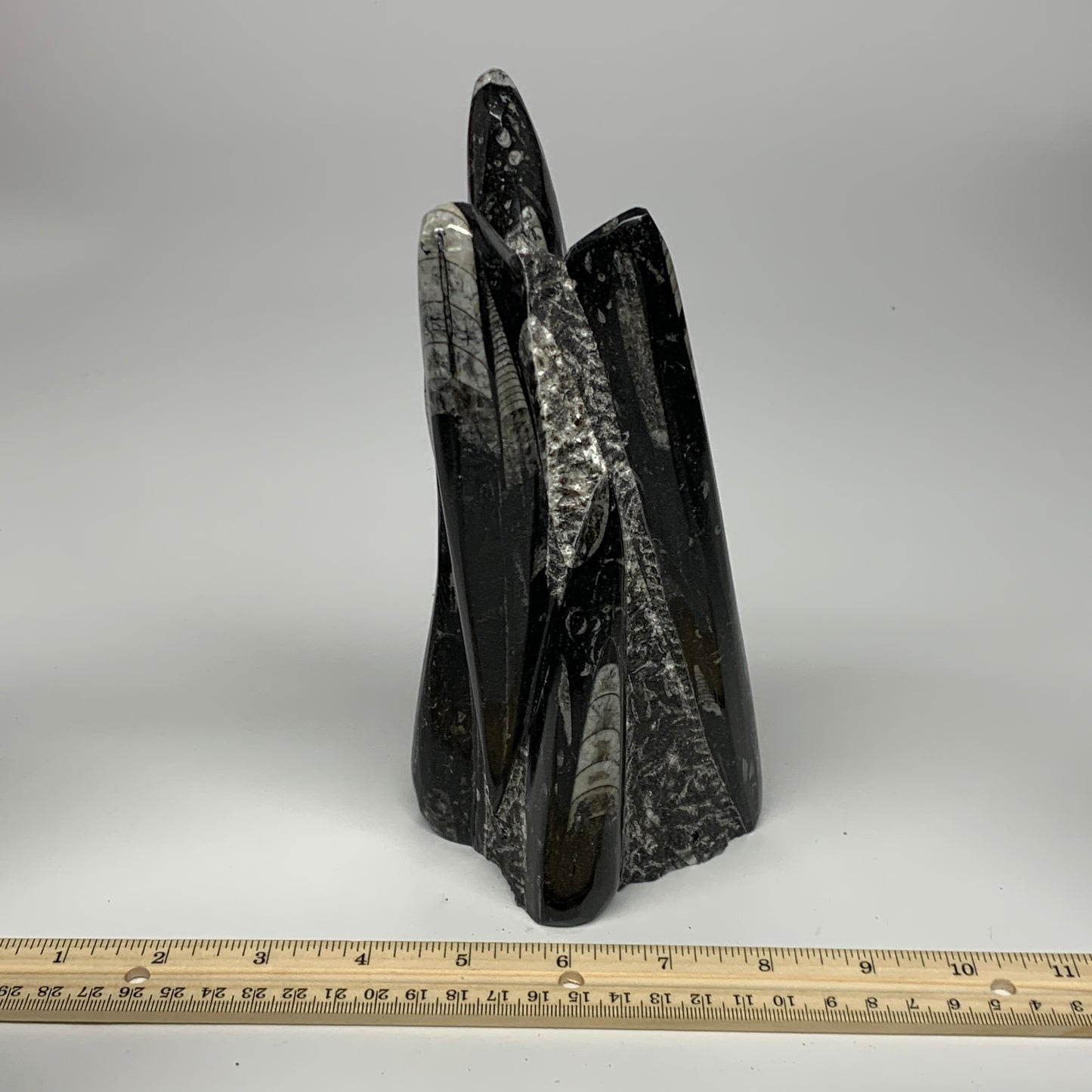 1285g, 8.25"x3.9"x2.7" Black Fossils Orthoceras Sculpture Tower @Morocco, B23418