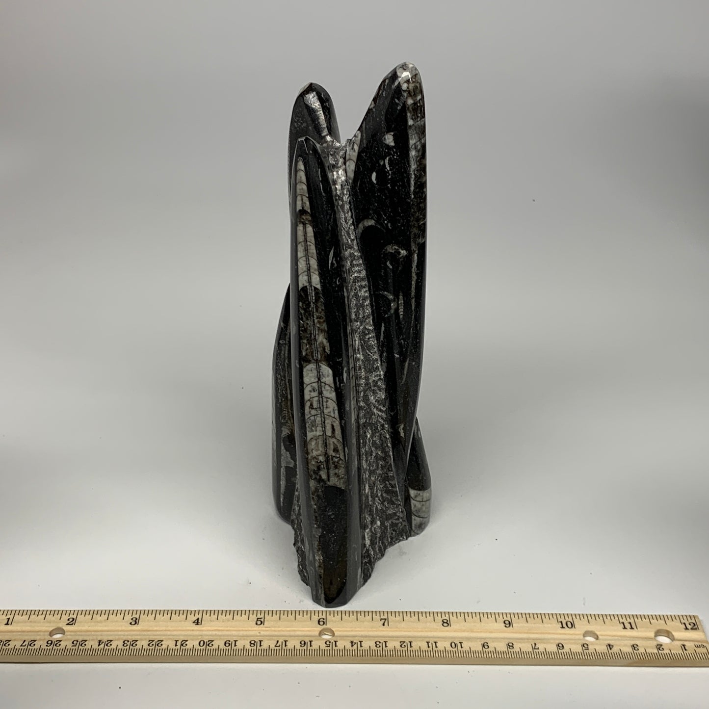 1285g, 8.25"x3.9"x2.7" Black Fossils Orthoceras Sculpture Tower @Morocco, B23418