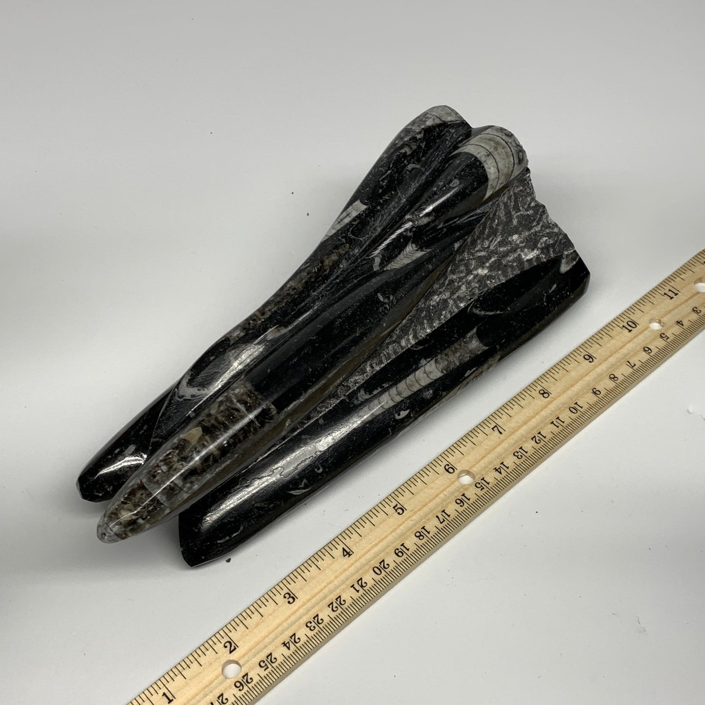 1285g, 8.25"x3.9"x2.7" Black Fossils Orthoceras Sculpture Tower @Morocco, B23418