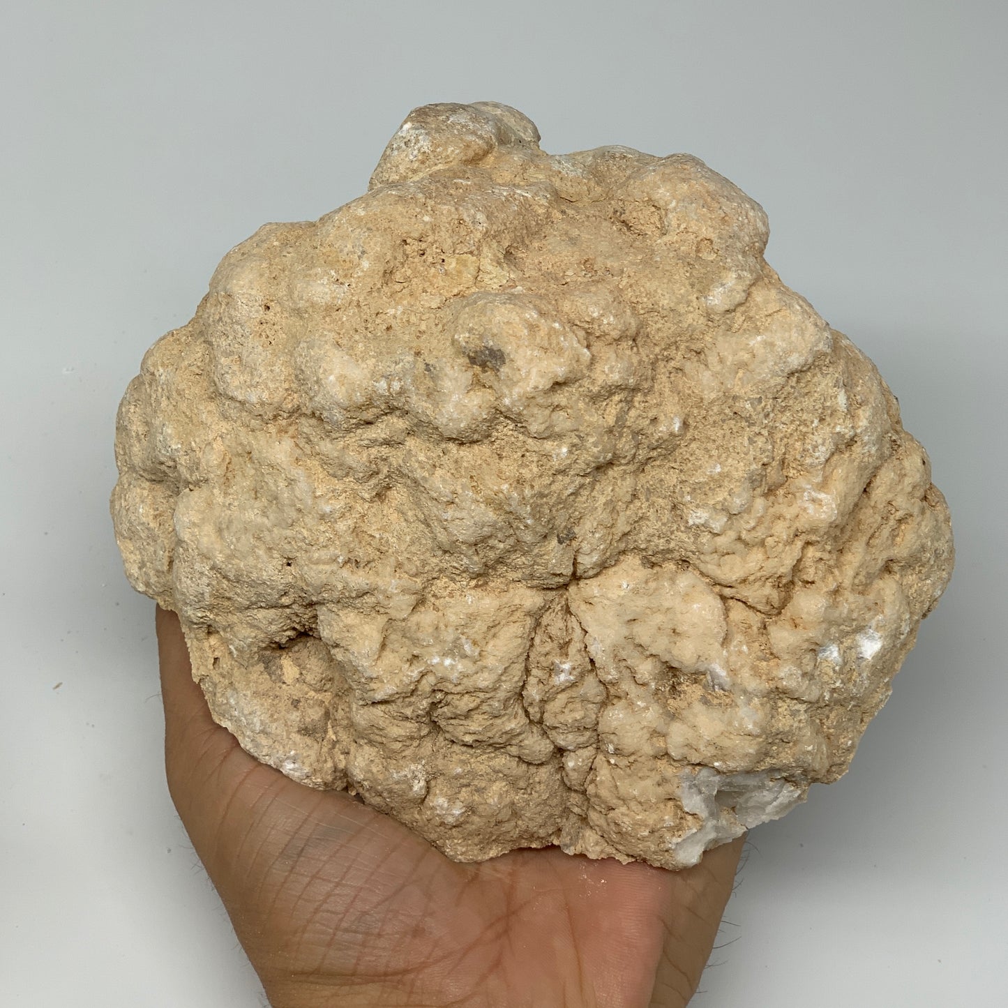 6Lbs,6.5"x6"x5.6", 1 Pair, Natural Quartz Geodes Sculpture @Morocco,B10523