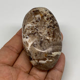 84g, 2.7"x1.6"x1", Natural Black Opal Crystal PalmStone Polished Reiki,B9696
