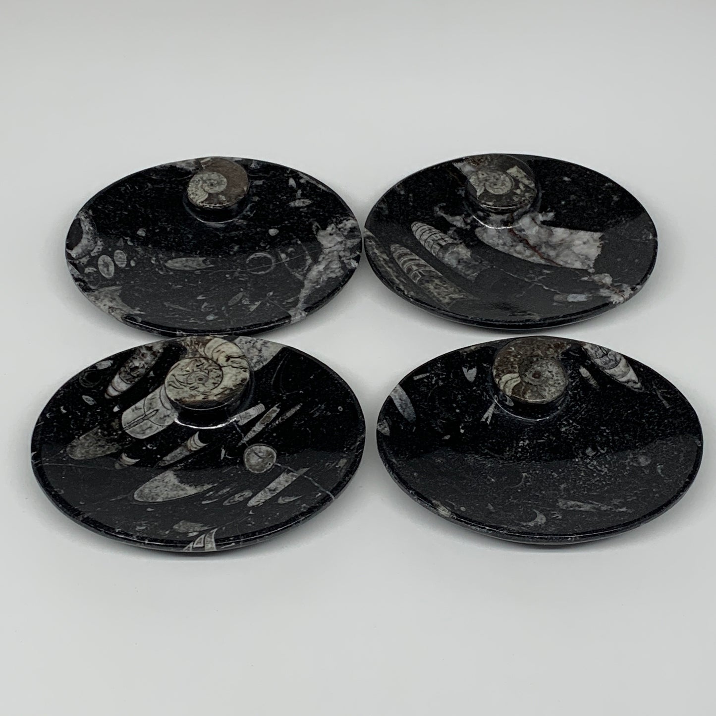 736g, 4pcs, 4.7"x3.8" Small Black Fossils Ammonite Orthoceras Bowl Oval Ring,B88