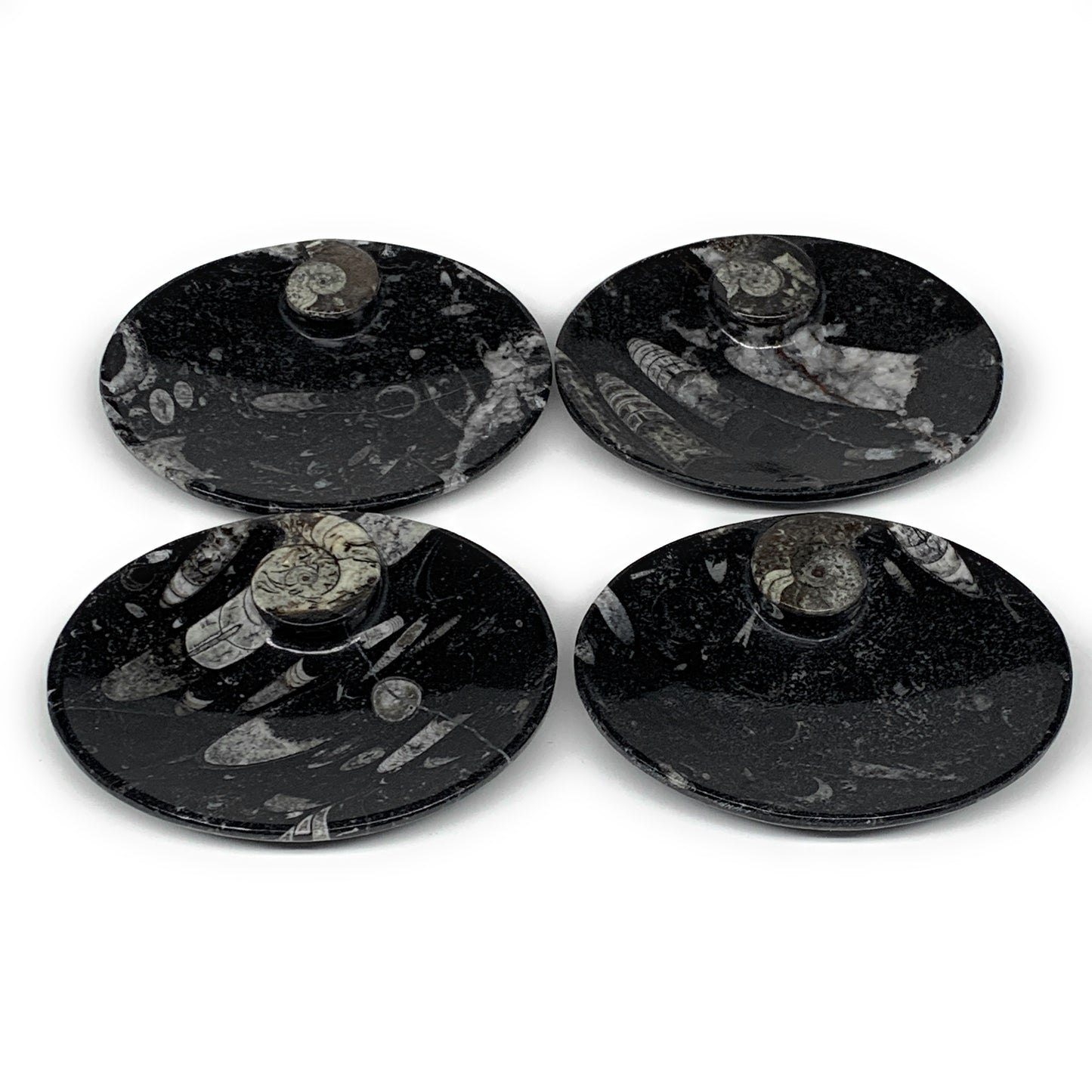 736g, 4pcs, 4.7"x3.8" Small Black Fossils Ammonite Orthoceras Bowl Oval Ring,B88