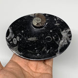 736g, 4pcs, 4.7"x3.8" Small Black Fossils Ammonite Orthoceras Bowl Oval Ring,B88
