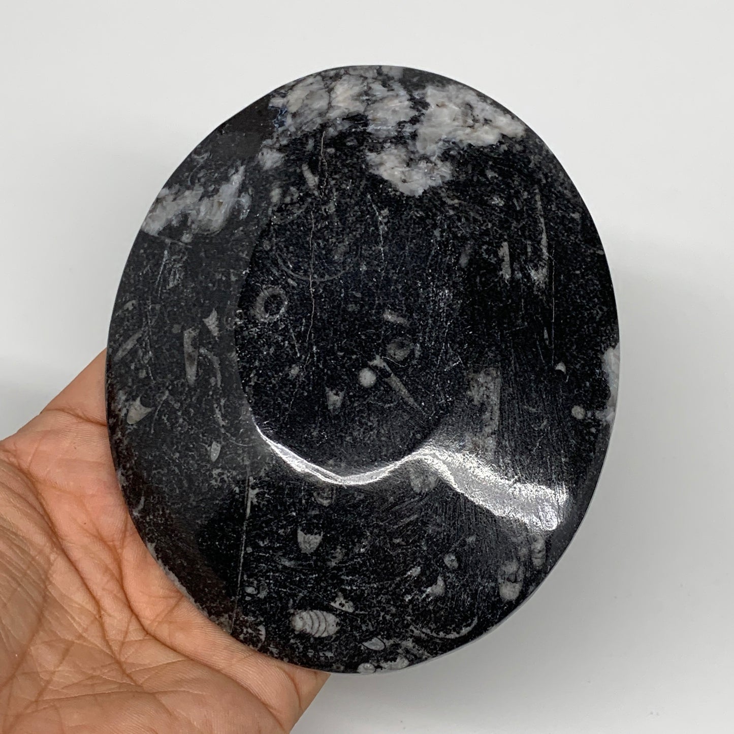 736g, 4pcs, 4.7"x3.8" Small Black Fossils Ammonite Orthoceras Bowl Oval Ring,B88