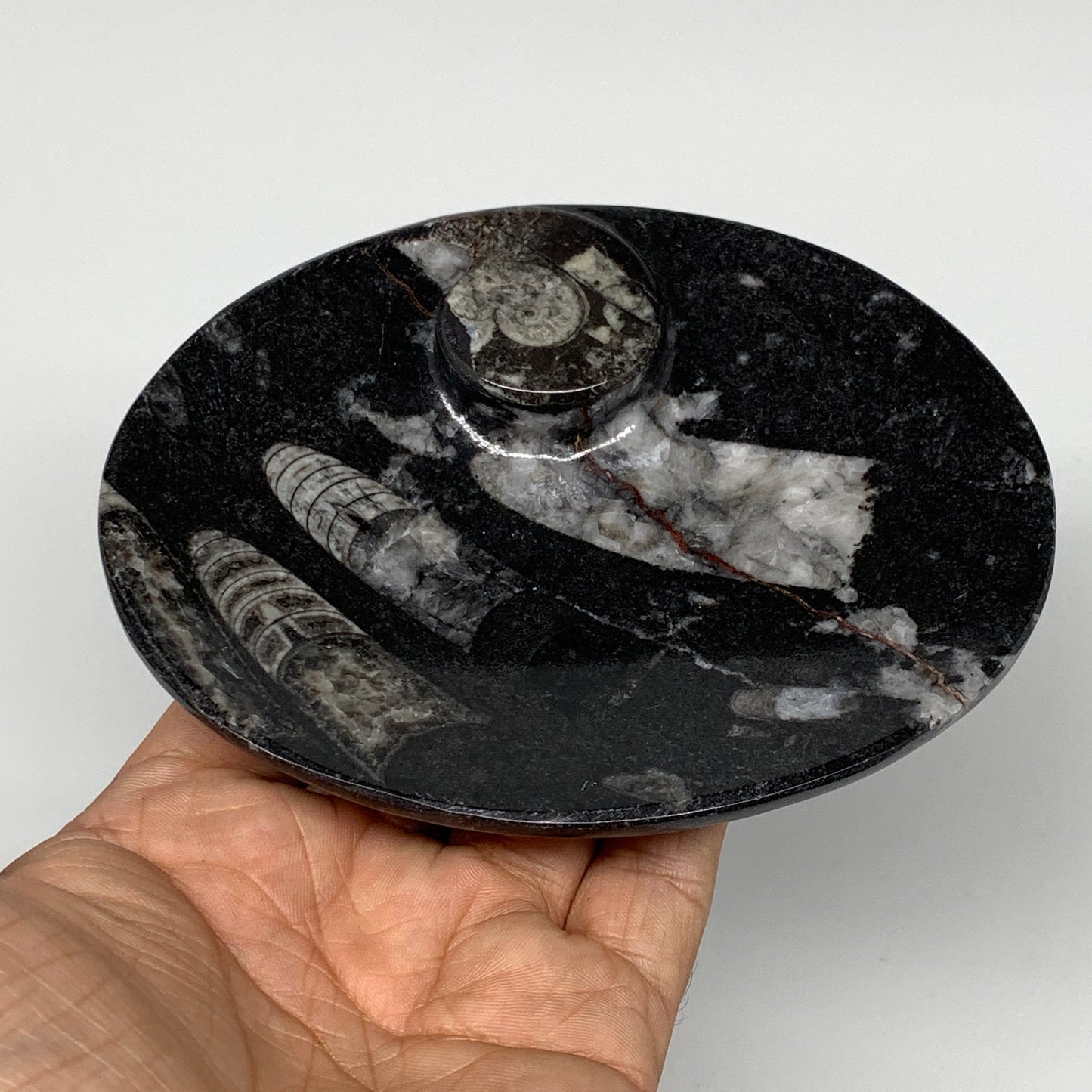 736g, 4pcs, 4.7"x3.8" Small Black Fossils Ammonite Orthoceras Bowl Oval Ring,B88