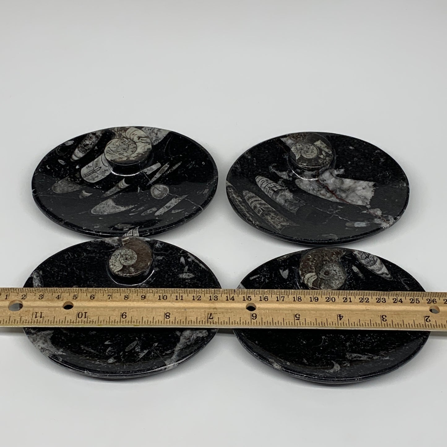 736g, 4pcs, 4.7"x3.8" Small Black Fossils Ammonite Orthoceras Bowl Oval Ring,B88