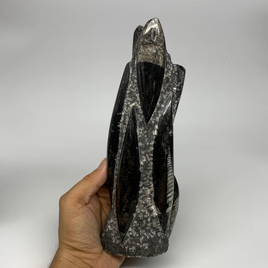1095g, 9"x2.9"x2.2" Black Fossils Orthoceras Sculpture Tower @Morocco, B23423
