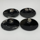 694g, 4pcs, 4.7"x3.8" Small Black Fossils Ammonite Orthoceras Bowl Oval Ring,B88