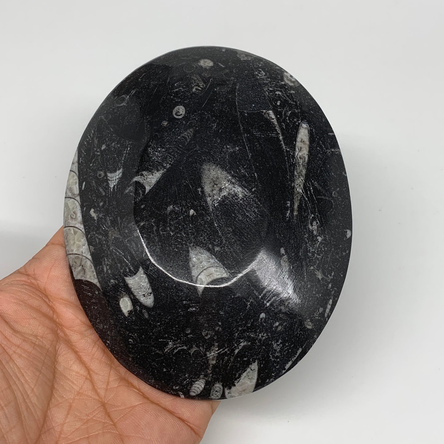 694g, 4pcs, 4.7"x3.8" Small Black Fossils Ammonite Orthoceras Bowl Oval Ring,B88