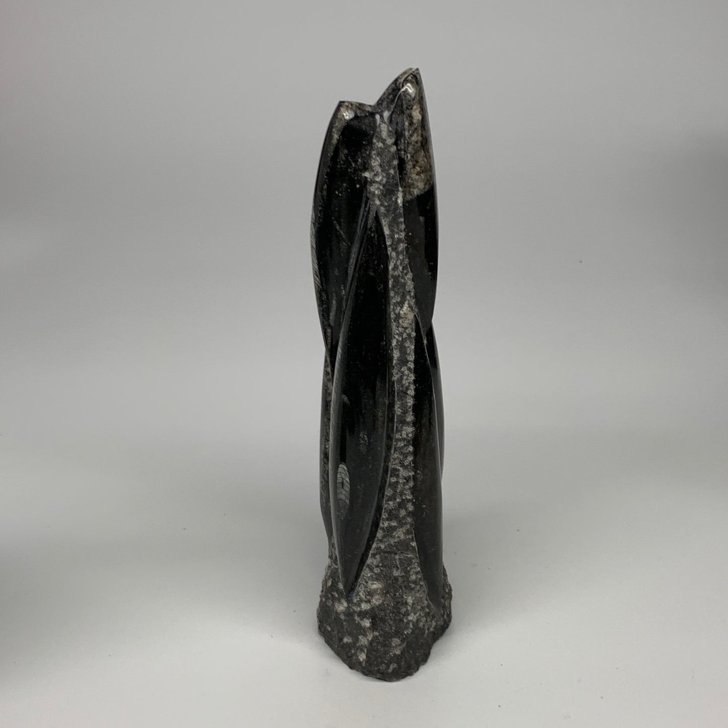 1095g, 9"x2.9"x2.2" Black Fossils Orthoceras Sculpture Tower @Morocco, B23423