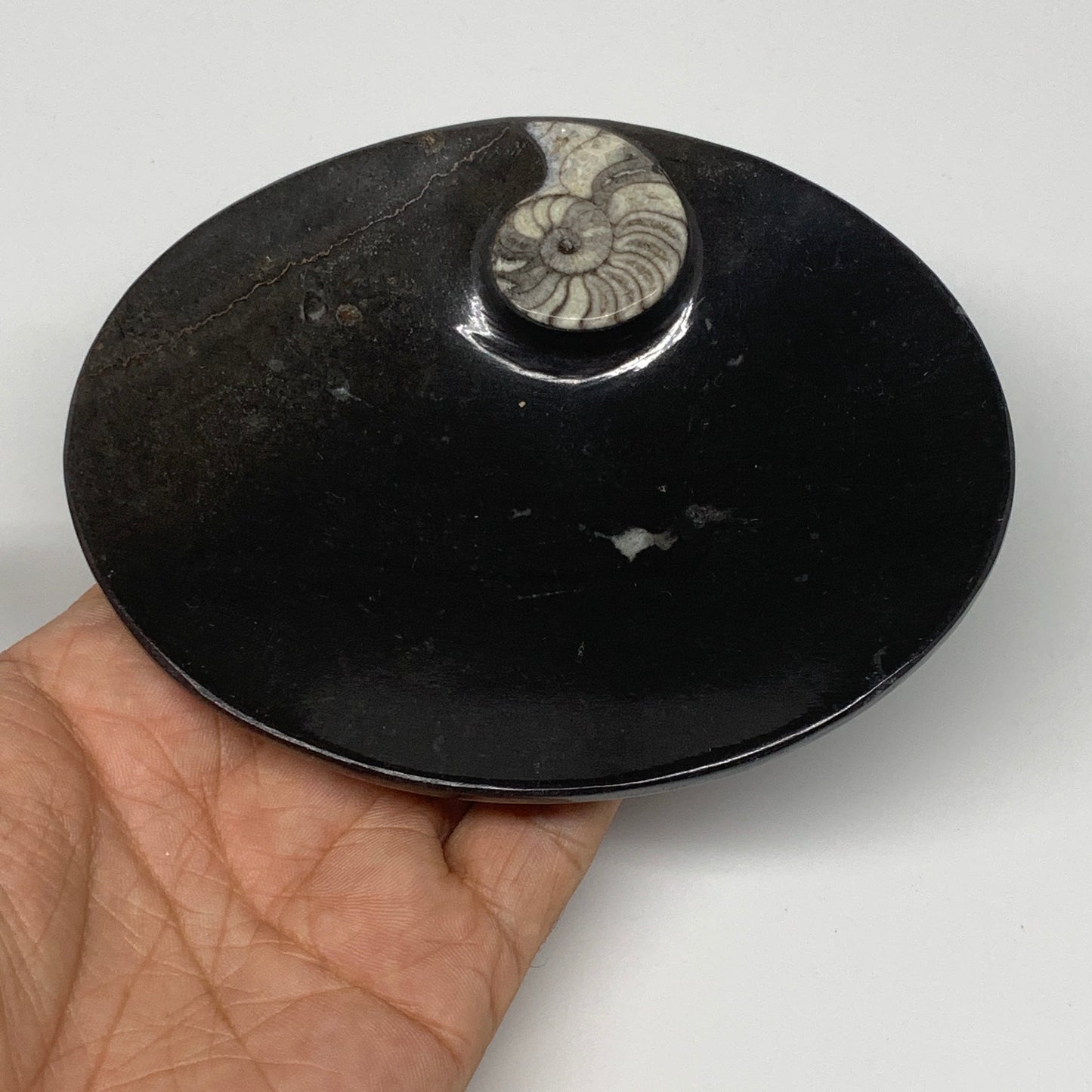 694g, 4pcs, 4.7"x3.8" Small Black Fossils Ammonite Orthoceras Bowl Oval Ring,B88