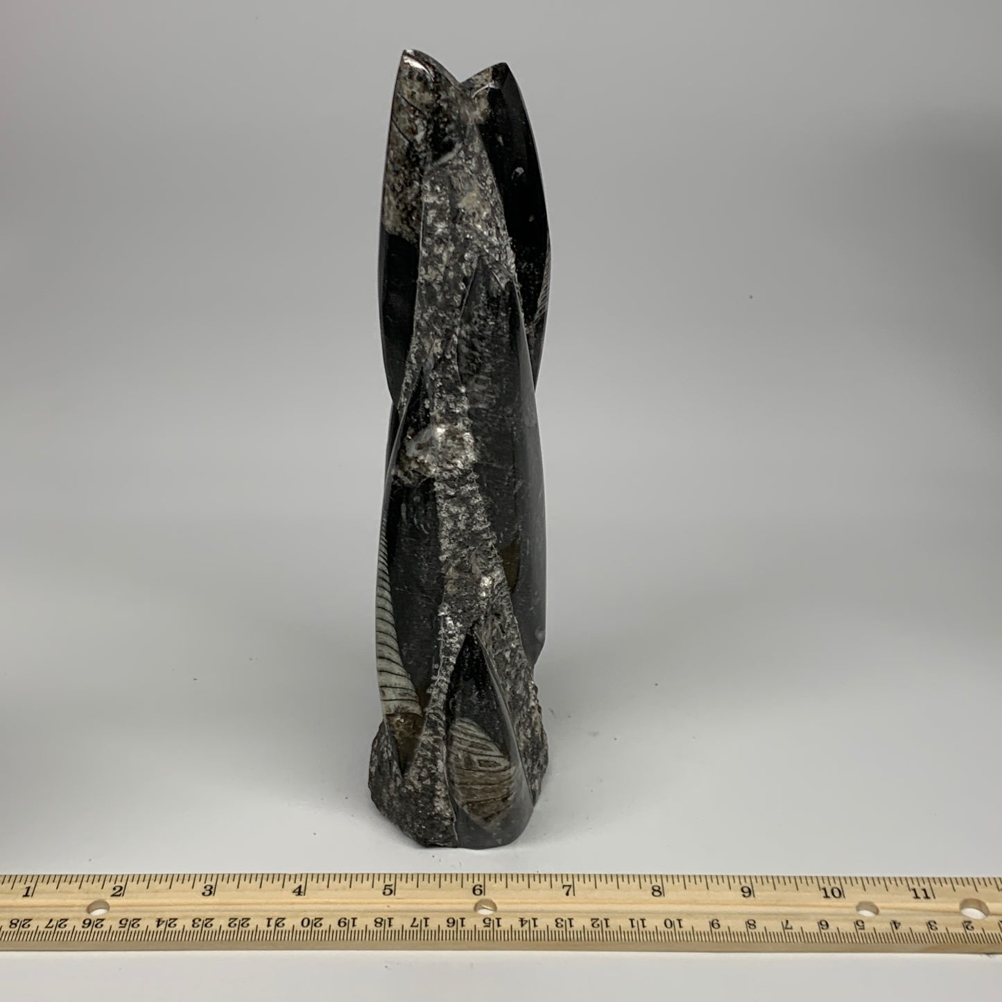 1095g, 9"x2.9"x2.2" Black Fossils Orthoceras Sculpture Tower @Morocco, B23423