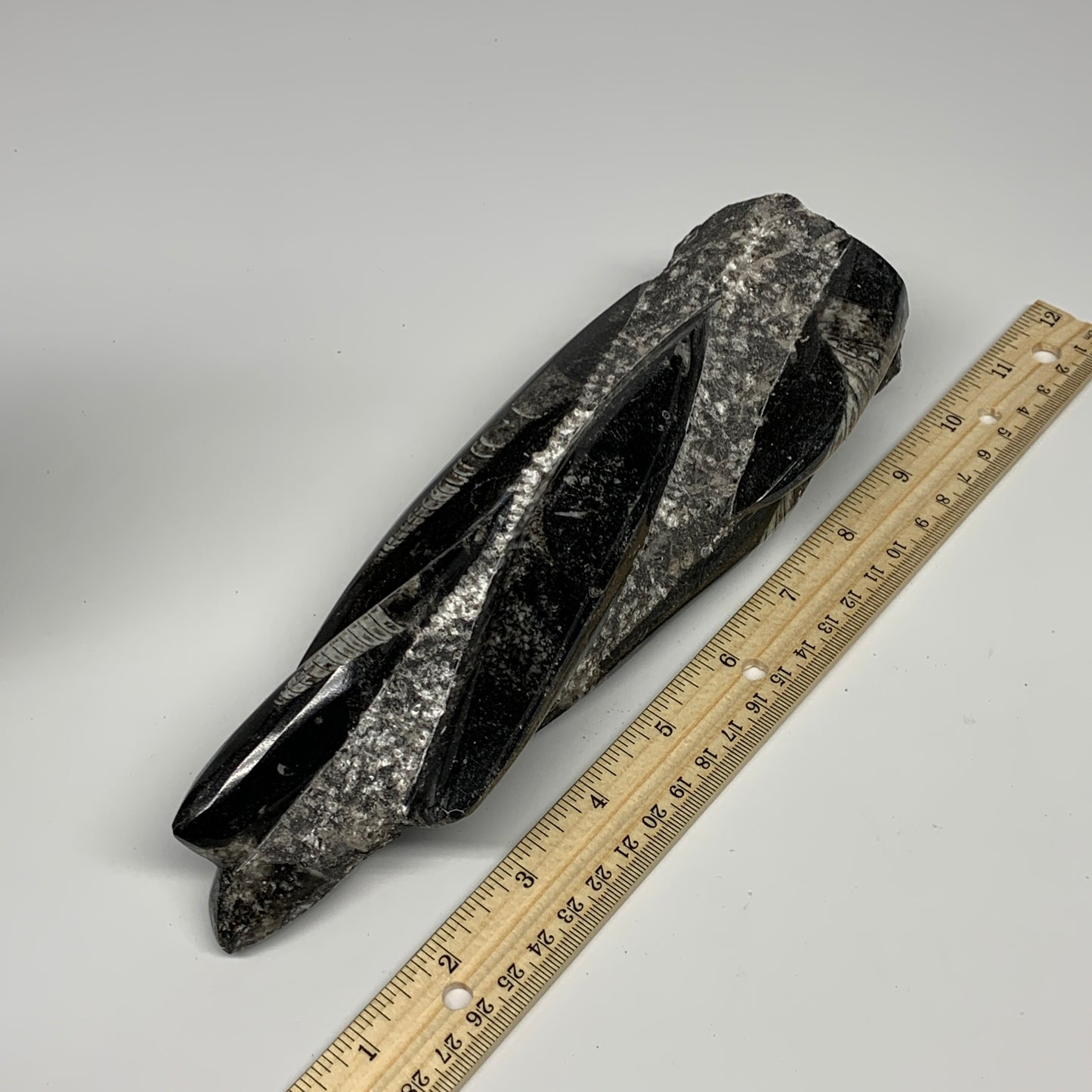 1095g, 9"x2.9"x2.2" Black Fossils Orthoceras Sculpture Tower @Morocco, B23423