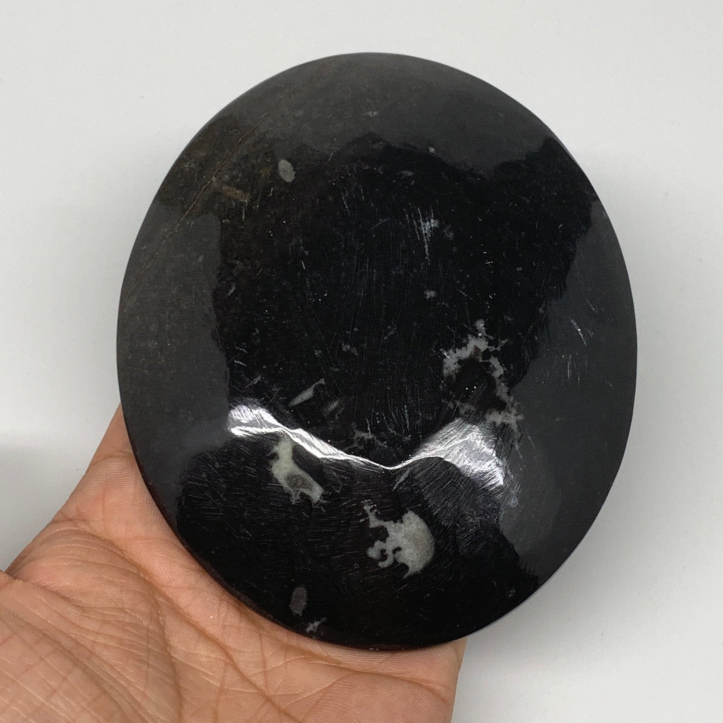 694g, 4pcs, 4.7"x3.8" Small Black Fossils Ammonite Orthoceras Bowl Oval Ring,B88