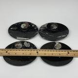 694g, 4pcs, 4.7"x3.8" Small Black Fossils Ammonite Orthoceras Bowl Oval Ring,B88