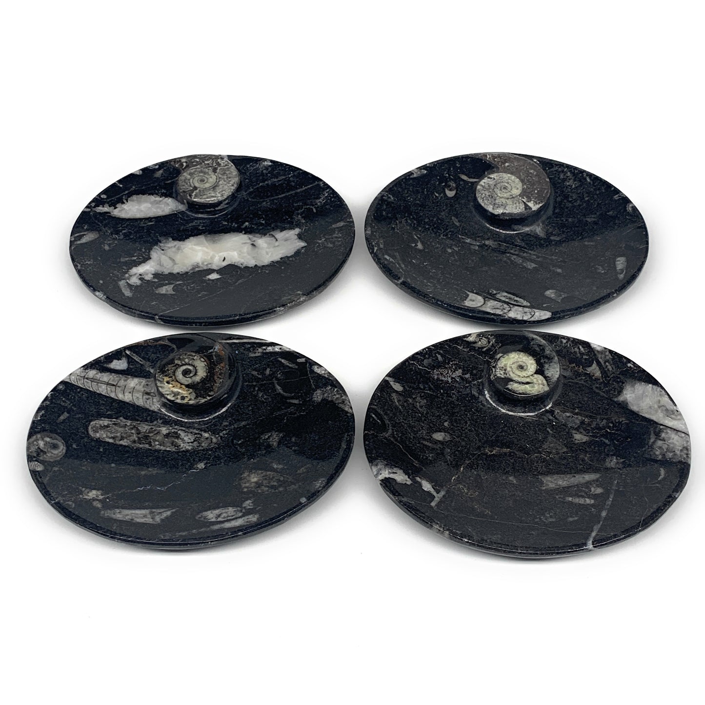 744g, 4pcs, 4.7"x3.8" Small Black Fossils Ammonite Orthoceras Bowl Oval Ring,B88