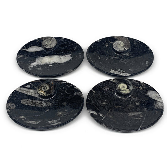 744g, 4pcs, 4.7"x3.8" Small Black Fossils Ammonite Orthoceras Bowl Oval Ring,B88