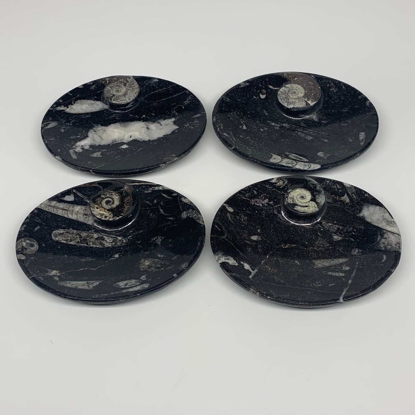 744g, 4pcs, 4.7"x3.8" Small Black Fossils Ammonite Orthoceras Bowl Oval Ring,B88