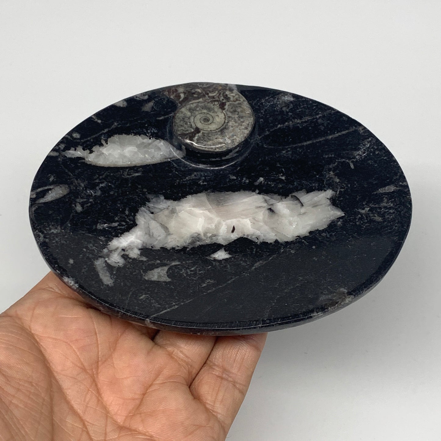 744g, 4pcs, 4.7"x3.8" Small Black Fossils Ammonite Orthoceras Bowl Oval Ring,B88