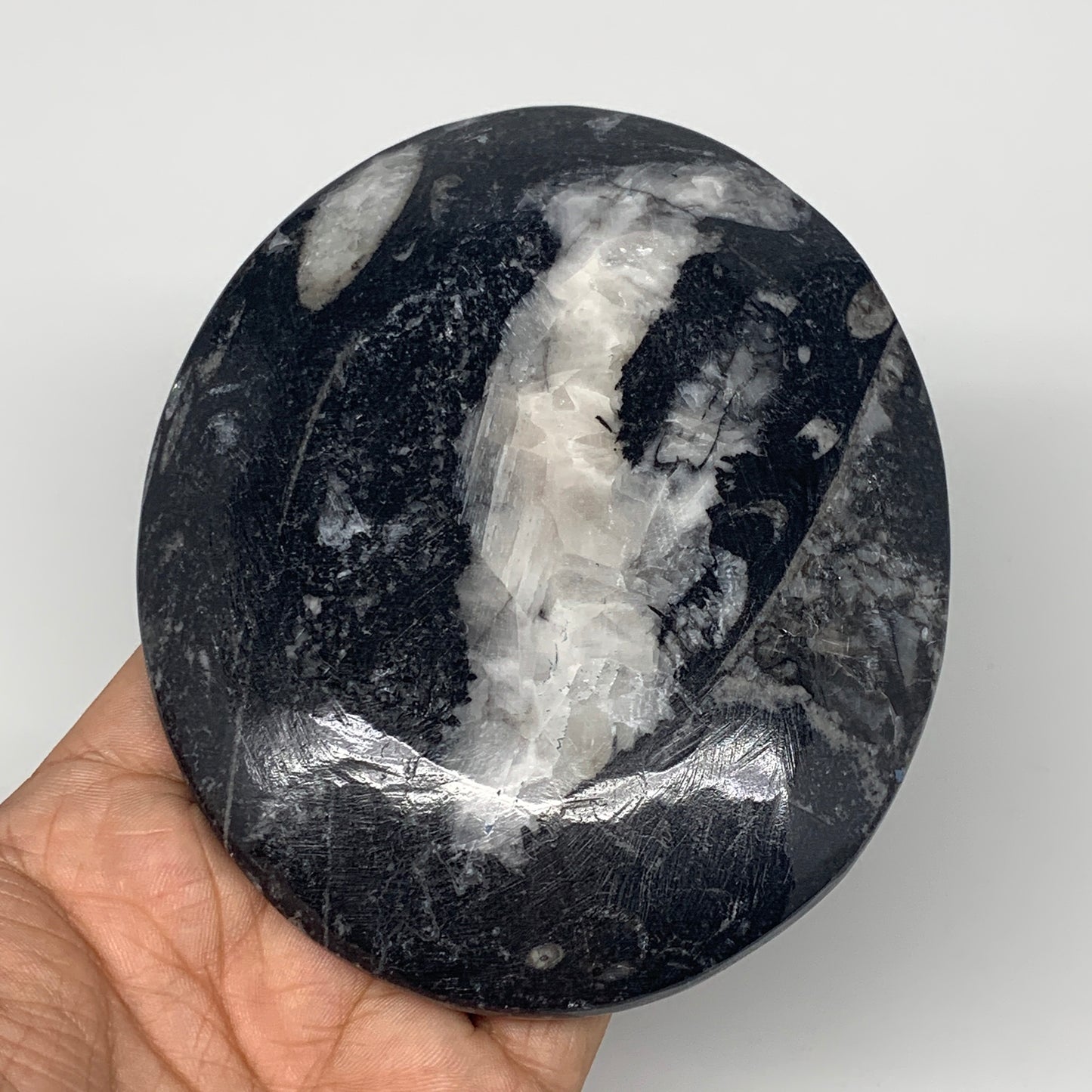 744g, 4pcs, 4.7"x3.8" Small Black Fossils Ammonite Orthoceras Bowl Oval Ring,B88