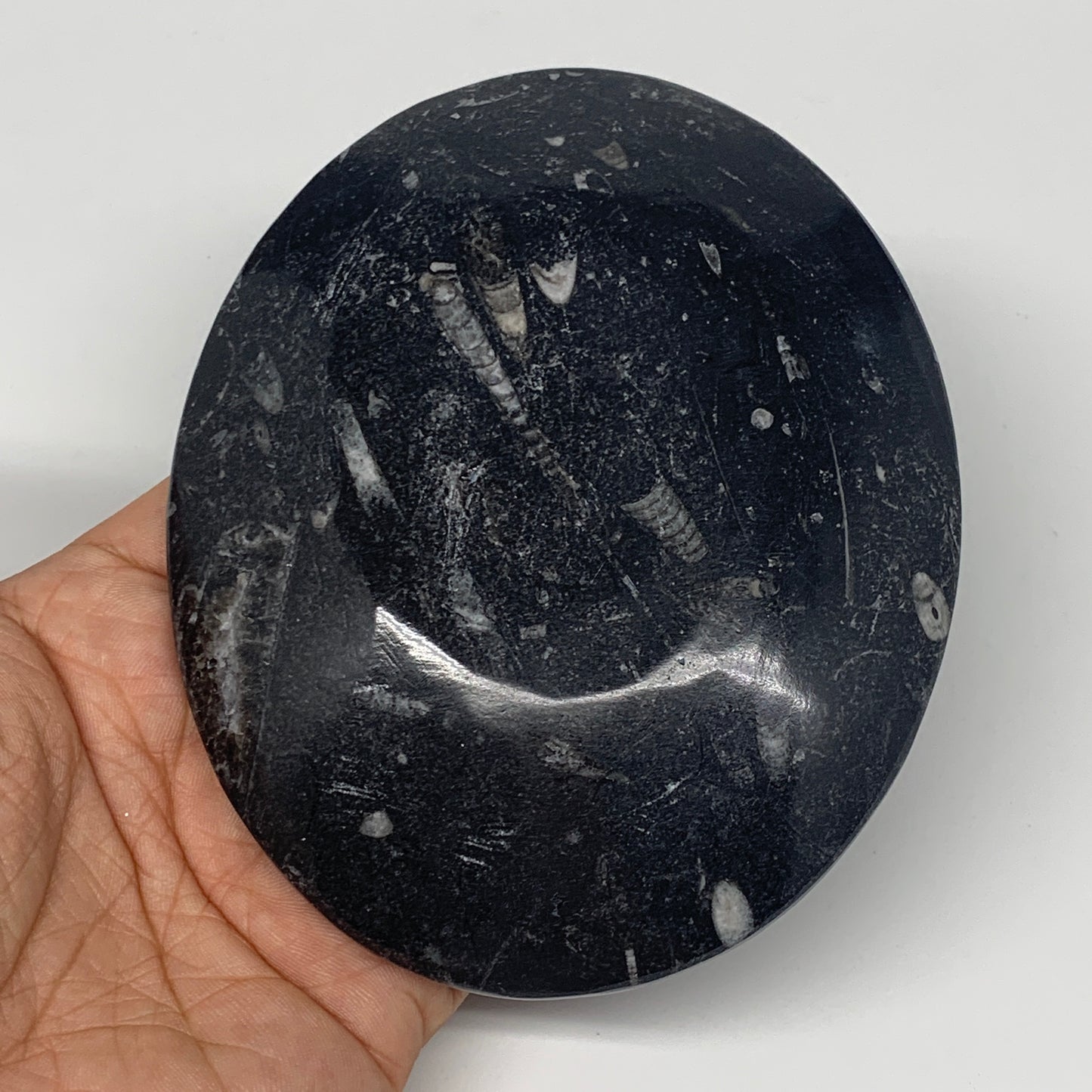 744g, 4pcs, 4.7"x3.8" Small Black Fossils Ammonite Orthoceras Bowl Oval Ring,B88