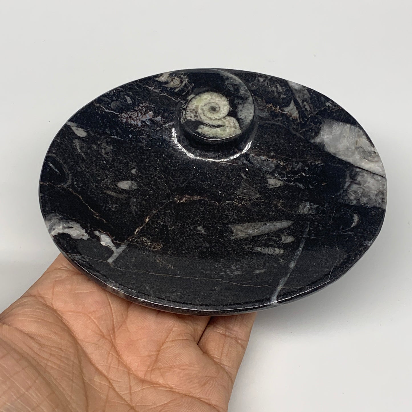 744g, 4pcs, 4.7"x3.8" Small Black Fossils Ammonite Orthoceras Bowl Oval Ring,B88