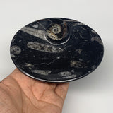 744g, 4pcs, 4.7"x3.8" Small Black Fossils Ammonite Orthoceras Bowl Oval Ring,B88