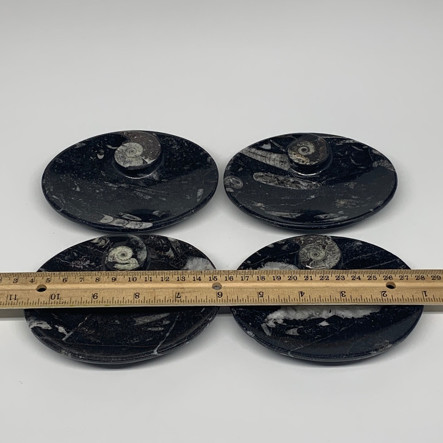 744g, 4pcs, 4.7"x3.8" Small Black Fossils Ammonite Orthoceras Bowl Oval Ring,B88