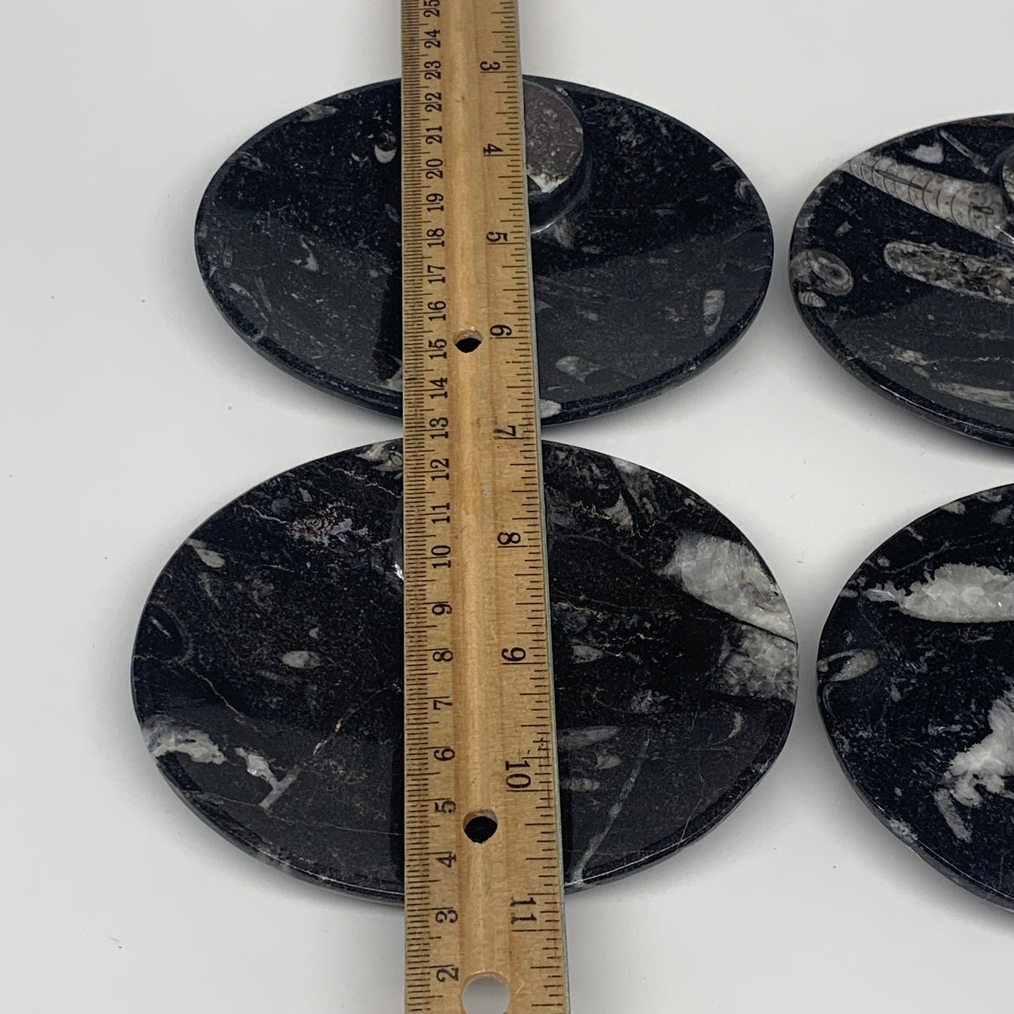 744g, 4pcs, 4.7"x3.8" Small Black Fossils Ammonite Orthoceras Bowl Oval Ring,B88