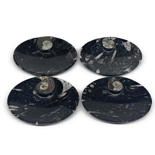 702g, 4pcs, 4.7"x3.8" Small Black Fossils Ammonite Orthoceras Bowl Oval Ring,B88
