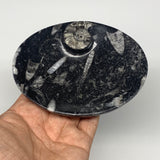 702g, 4pcs, 4.7"x3.8" Small Black Fossils Ammonite Orthoceras Bowl Oval Ring,B88