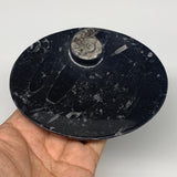 738g, 4pcs, 4.7"x3.8" Small Black Fossils Ammonite Orthoceras Bowl Oval Ring,B88