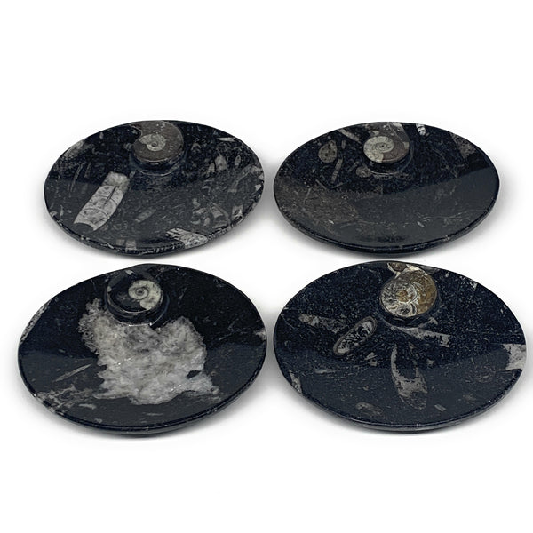 732g, 4pcs, 4.7"x3.8" Small Black Fossils Ammonite Orthoceras Bowl Oval Ring,B88