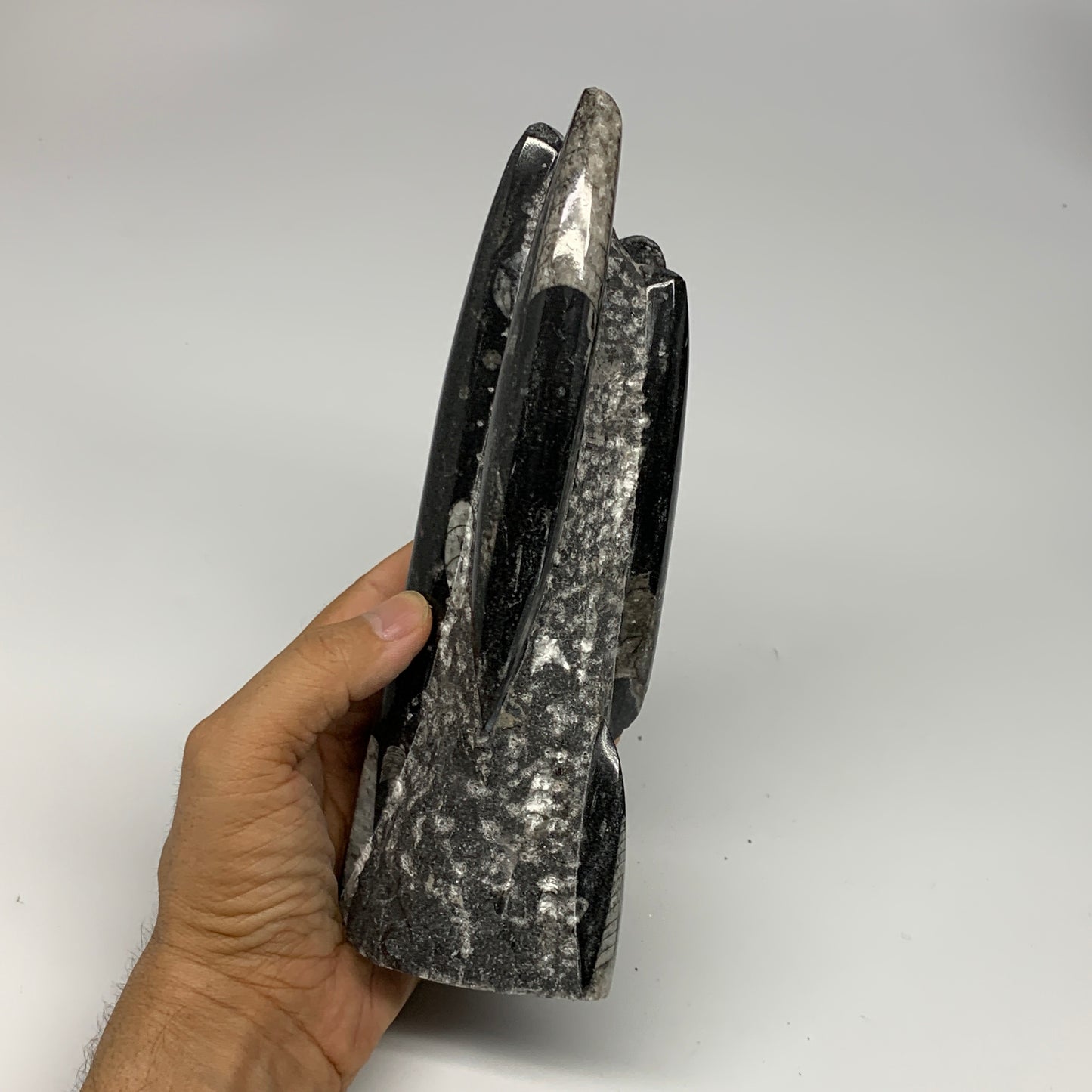 1240g, 8"x2.9"x2.7" Black Fossils Orthoceras Sculpture Tower @Morocco, B23429