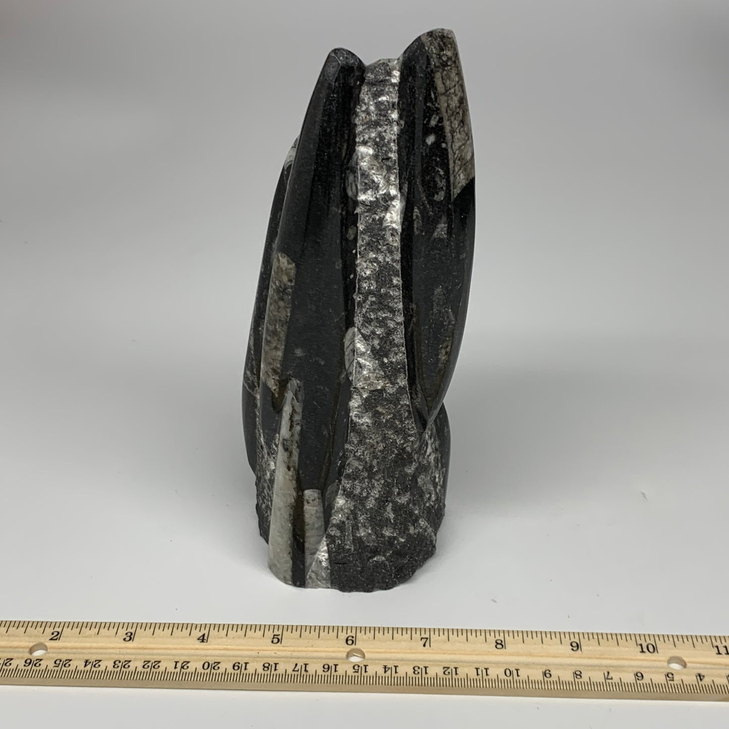 1240g, 8"x2.9"x2.7" Black Fossils Orthoceras Sculpture Tower @Morocco, B23429