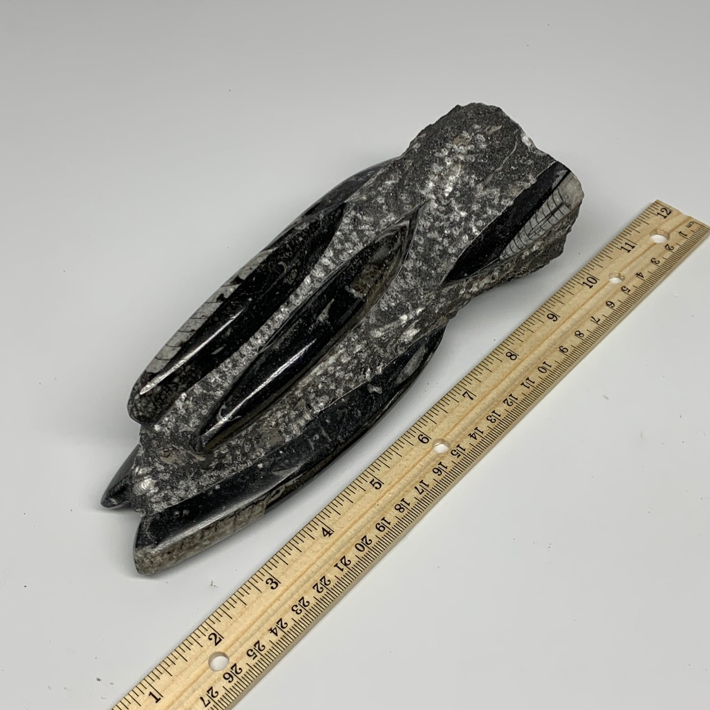 1240g, 8"x2.9"x2.7" Black Fossils Orthoceras Sculpture Tower @Morocco, B23429