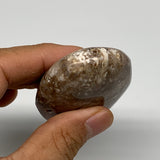 71g, 2.7"x1.8"x0.8", Natural Black Opal Crystal PalmStone Polished Reiki,B9704