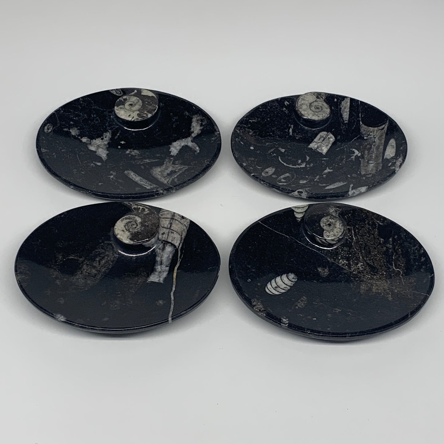 718g, 4pcs, 4.7"x3.8" Small Black Fossils Ammonite Orthoceras Bowl Oval Ring,B88