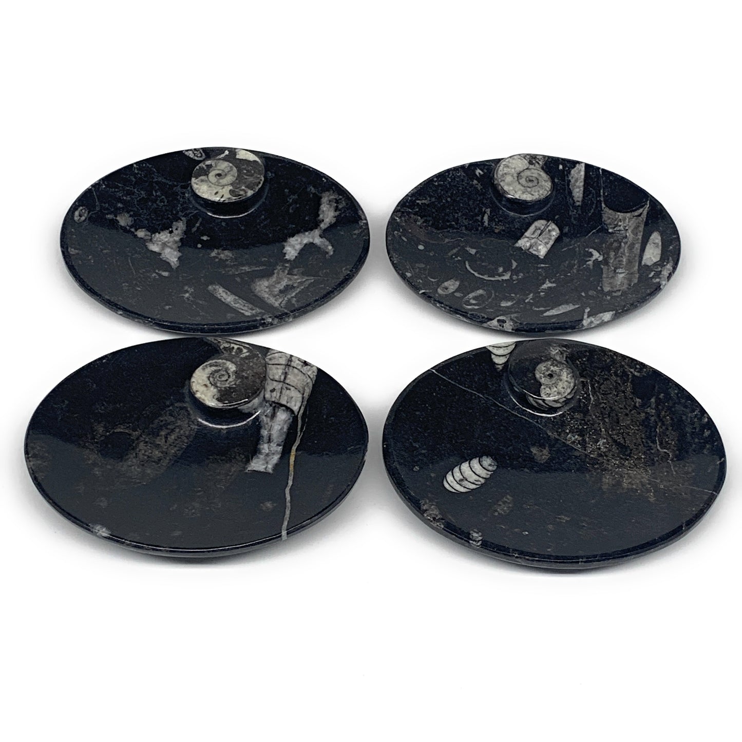718g, 4pcs, 4.7"x3.8" Small Black Fossils Ammonite Orthoceras Bowl Oval Ring,B88