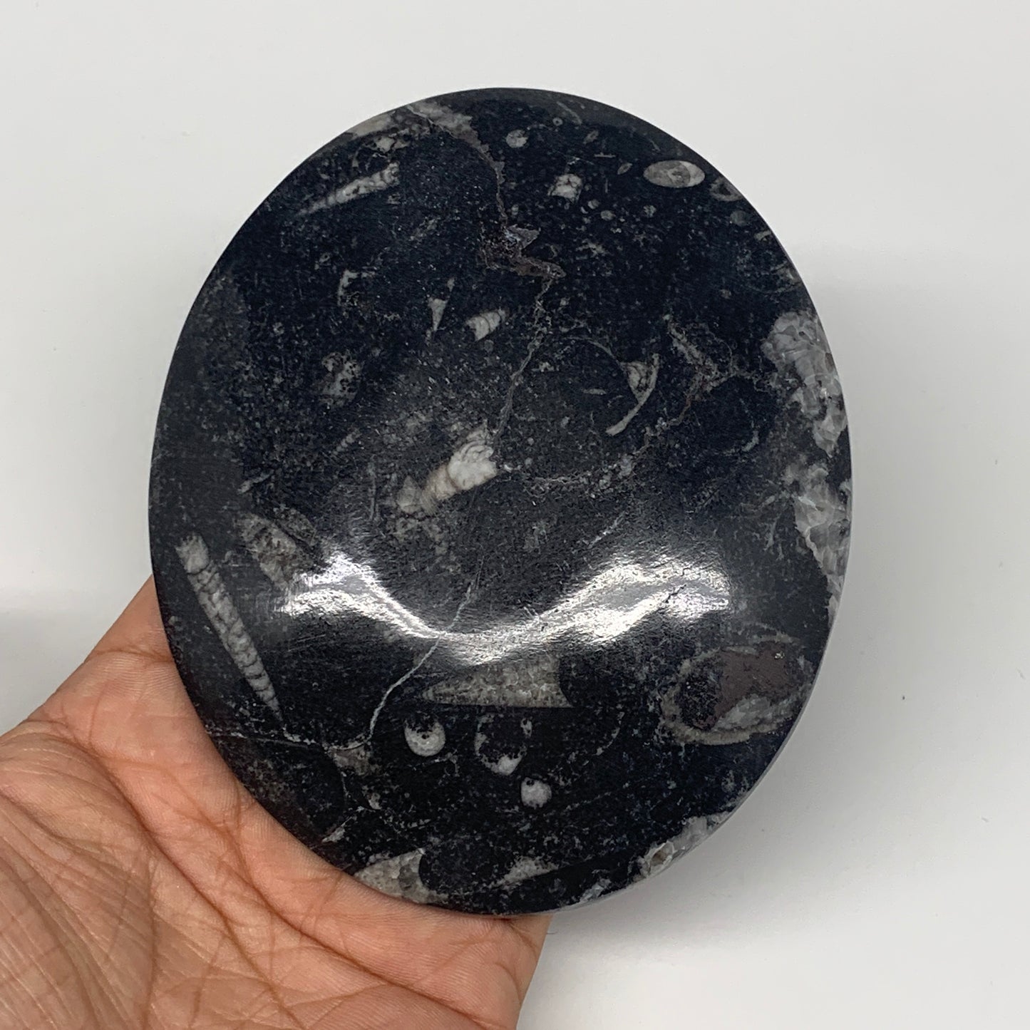 718g, 4pcs, 4.7"x3.8" Small Black Fossils Ammonite Orthoceras Bowl Oval Ring,B88