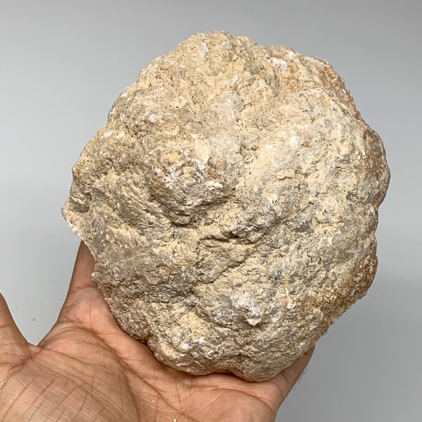 2.48Lbs,4.7"x4.2"x3.8", 1 Pair, Natural Quartz Geodes Sculpture @Morocco,B10535