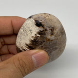 70g, 2.4"x1.9"x0.9", Natural Black Opal Crystal PalmStone Polished Reiki,B9705