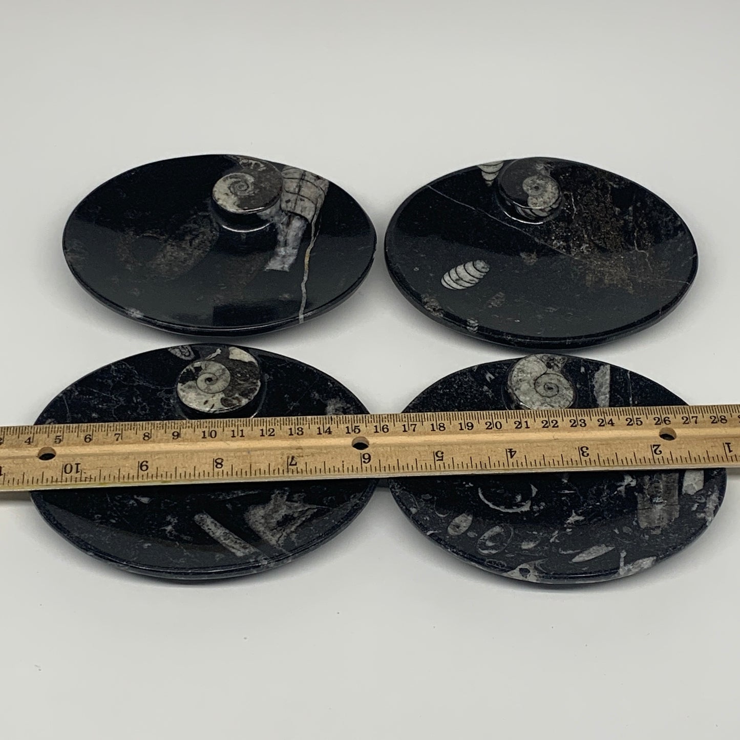 718g, 4pcs, 4.7"x3.8" Small Black Fossils Ammonite Orthoceras Bowl Oval Ring,B88