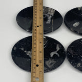 718g, 4pcs, 4.7"x3.8" Small Black Fossils Ammonite Orthoceras Bowl Oval Ring,B88